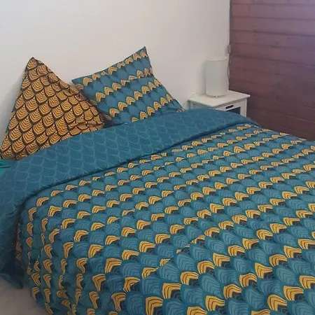 Vacances De Reve A 2 Pas De L'ocean A Appartement Biscarrosse